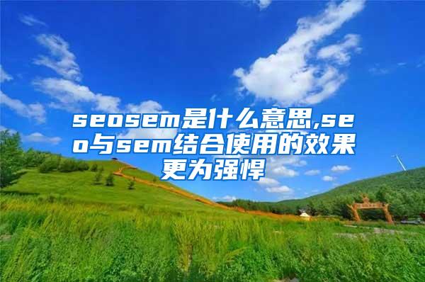 seosem是什么意思,seo与sem结合使用的效果更为强悍