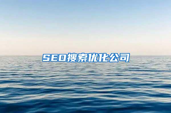 SEO搜索优化公司