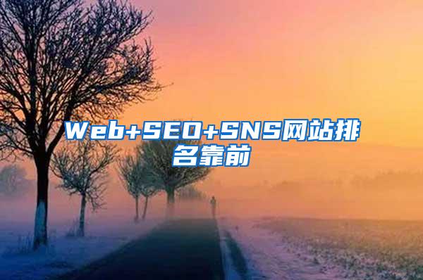 Web+SEO+SNS网站排名靠前