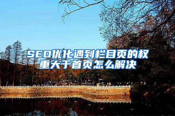 SEO优化遇到栏目页的权重大于首页怎么解决