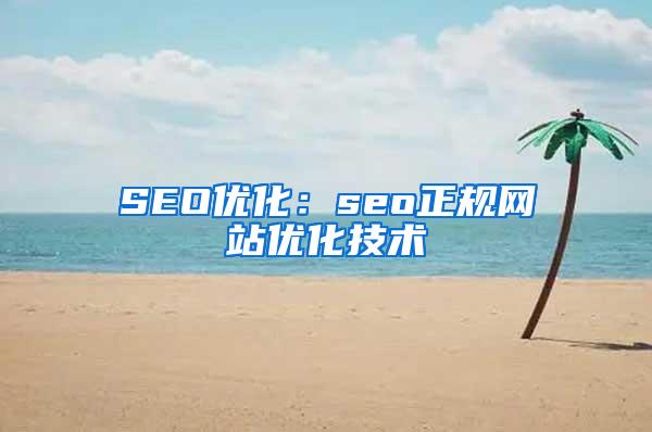 SEO优化：seo正规网站优化技术