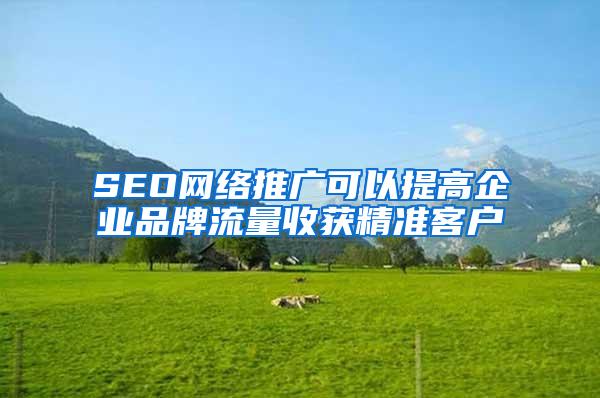 SEO网络推广可以提高企业品牌流量收获精准客户
