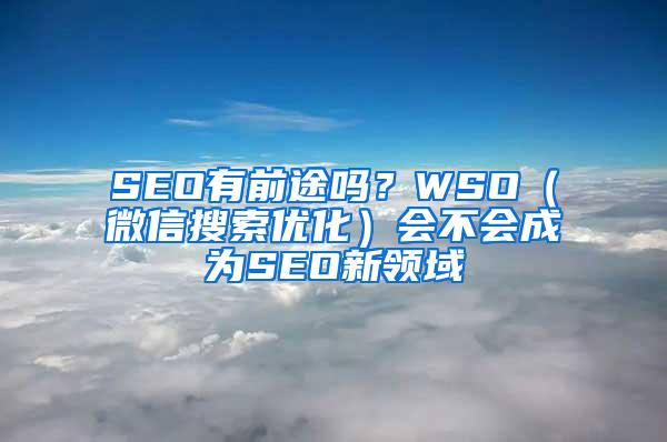 SEO有前途吗？WSO（微信搜索优化）会不会成为SEO新领域