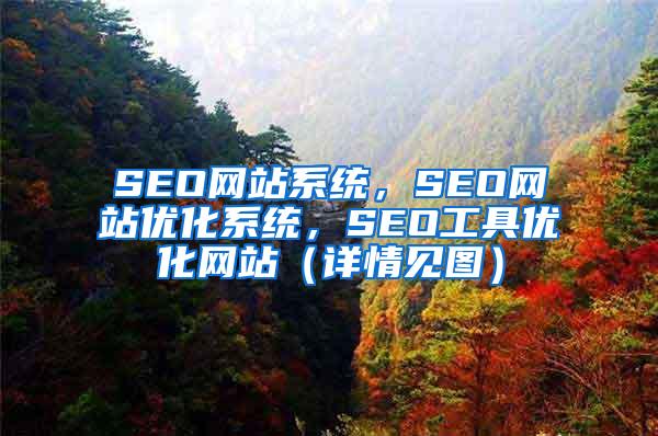 SEO网站系统，SEO网站优化系统，SEO工具优化网站（详情见图）