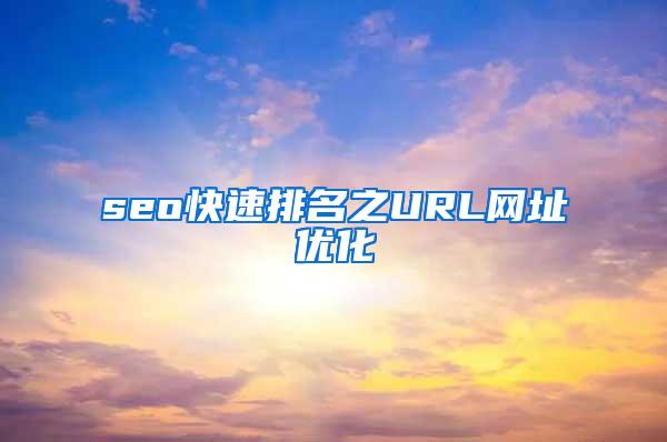 seo快速排名之URL网址优化