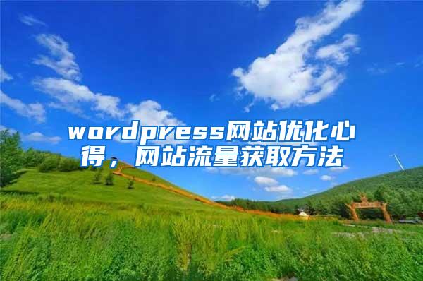 wordpress网站优化心得，网站流量获取方法