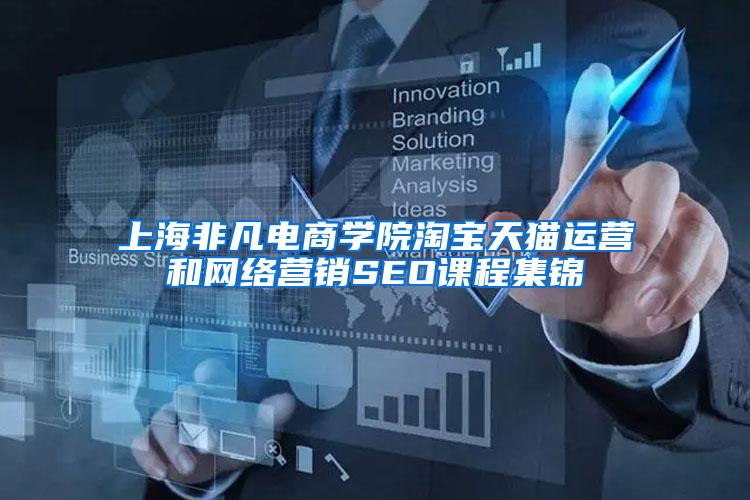 上海非凡电商学院淘宝天猫运营和网络营销SEO课程集锦