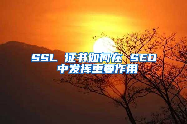 SSL 证书如何在 SEO 中发挥重要作用