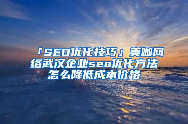 「SEO优化技巧」美咖网络武汉企业seo优化方法怎么降低成本价格