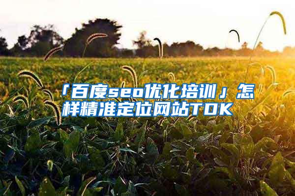 「百度seo优化培训」怎样精准定位网站TDK