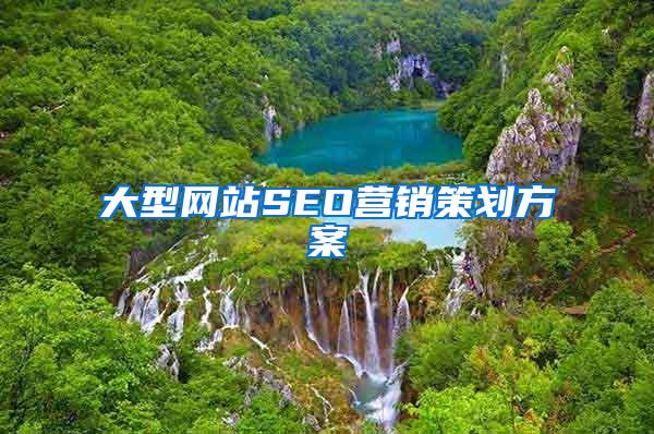 大型网站SEO营销策划方案
