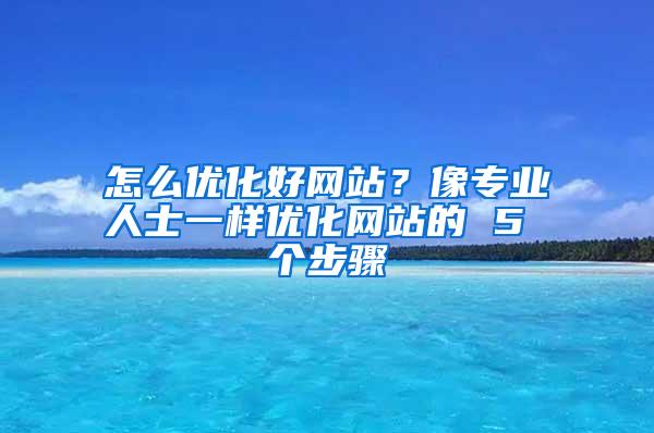 怎么优化好网站？像专业人士一样优化网站的 5 个步骤