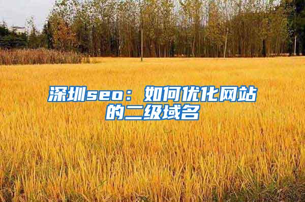 深圳seo：如何优化网站的二级域名