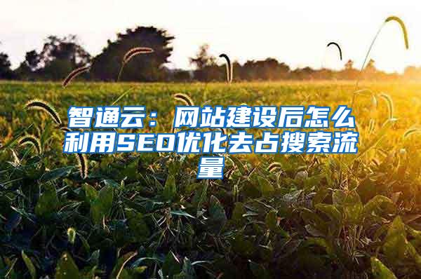 智通云：网站建设后怎么利用SEO优化去占搜索流量