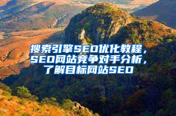 搜索引擎SEO优化教程，SEO网站竞争对手分析，了解目标网站SEO