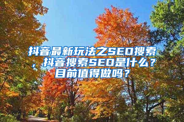 抖音最新玩法之SEO搜索，抖音搜索SEO是什么？目前值得做吗？