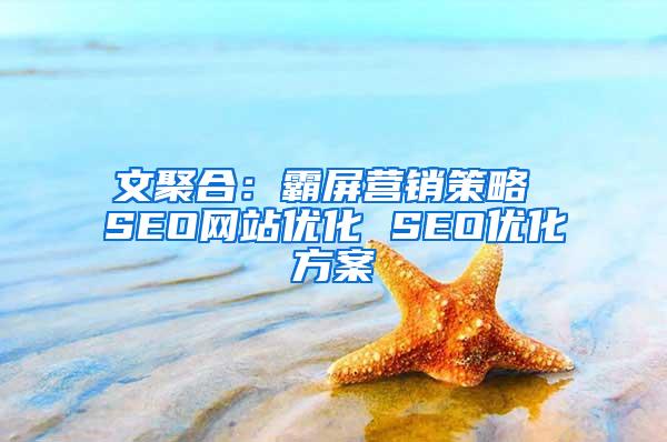 文聚合：霸屏营销策略 SEO网站优化 SEO优化方案