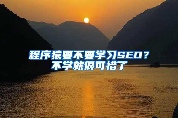 程序猿要不要学习SEO？不学就很可惜了