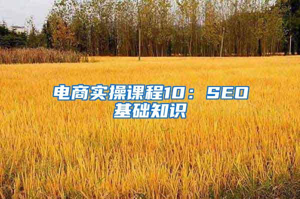 电商实操课程10：SEO基础知识