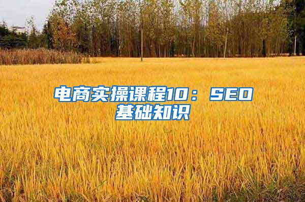 电商实操课程10：SEO基础知识