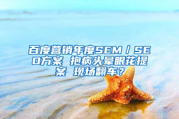 百度营销年度SEM／SEO方案 抱病头晕眼花提案 现场翻车？