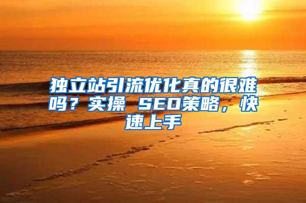 独立站引流优化真的很难吗？实操 SEO策略，快速上手