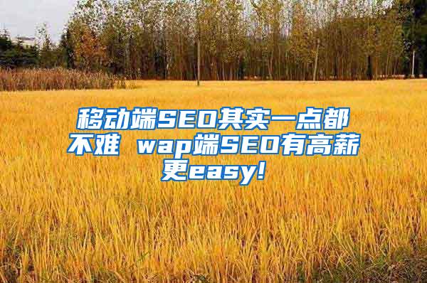 移动端SEO其实一点都不难 wap端SEO有高薪更easy!