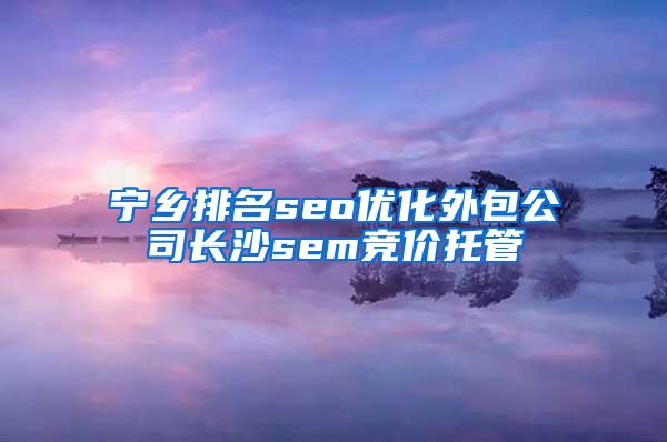 宁乡排名seo优化外包公司长沙sem竞价托管