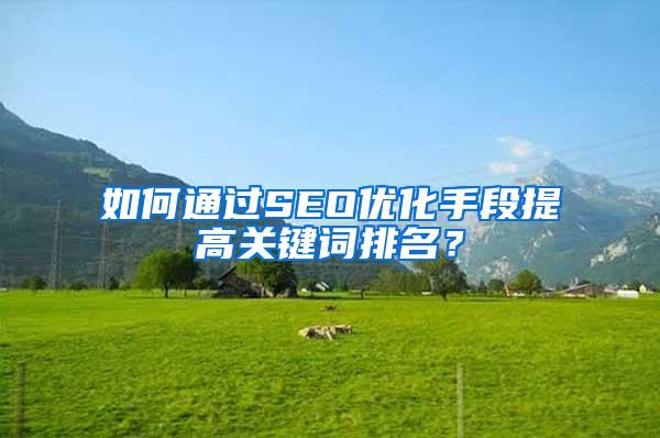 如何通过SEO优化手段提高关键词排名？