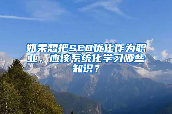 如果想把SEO优化作为职业，应该系统化学习哪些知识？