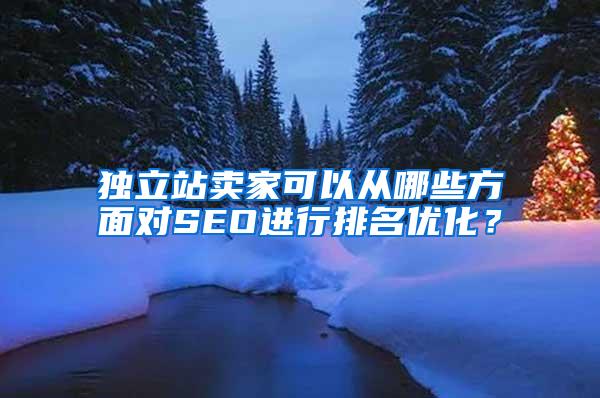 独立站卖家可以从哪些方面对SEO进行排名优化？