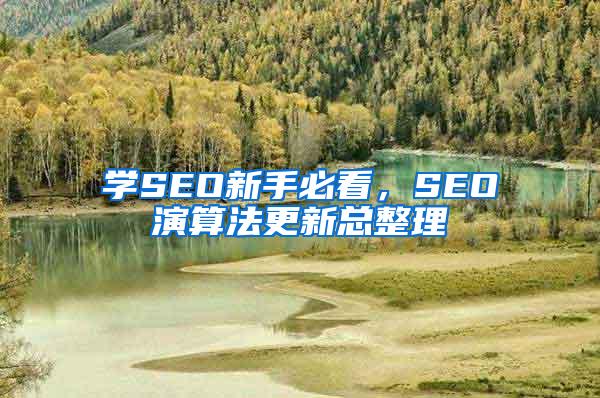 学SEO新手必看，SEO演算法更新总整理