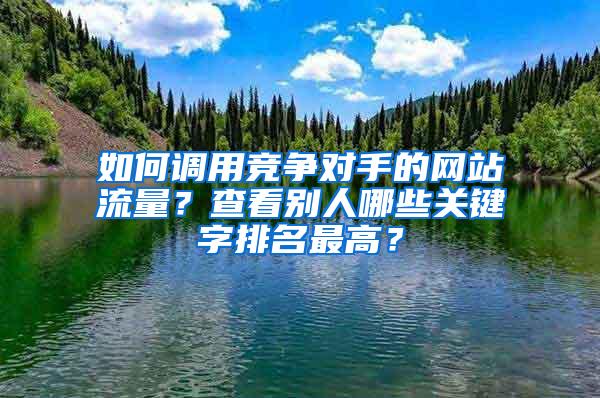 如何调用竞争对手的网站流量？查看别人哪些关键字排名最高？