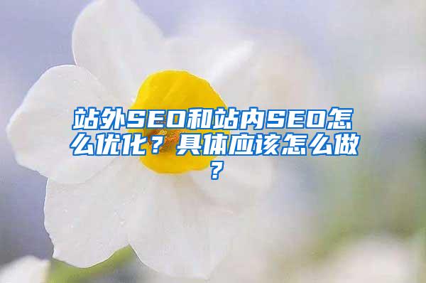 站外SEO和站内SEO怎么优化？具体应该怎么做？