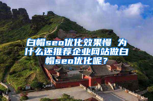 白帽seo优化效果慢 为什么还推荐企业网站做白帽seo优化呢？