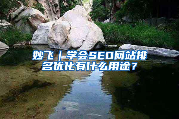 妙飞｜学会SEO网站排名优化有什么用途？