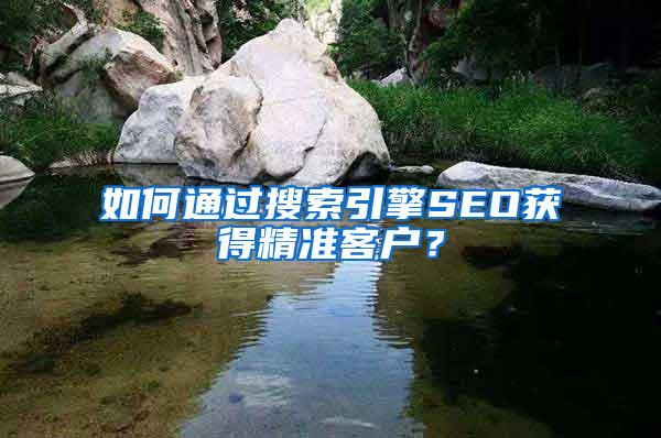 如何通过搜索引擎SEO获得精准客户？