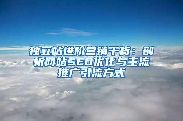 独立站进阶营销干货：剖析网站SEO优化与主流推广引流方式