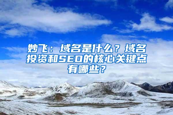 妙飞：域名是什么？域名投资和SEO的核心关键点有哪些？