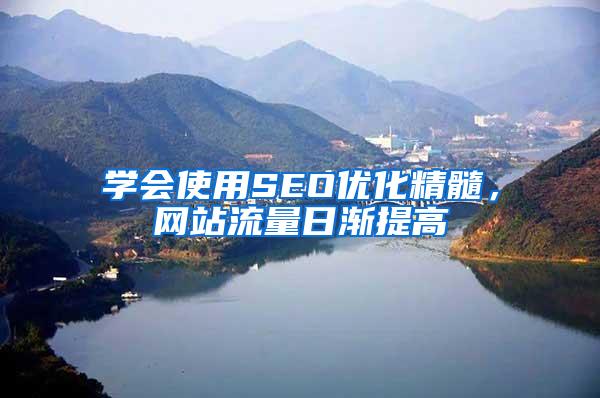 学会使用SEO优化精髓，网站流量日渐提高
