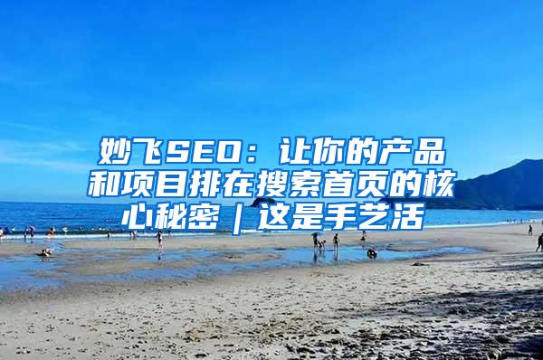 妙飞SEO：让你的产品和项目排在搜索首页的核心秘密｜这是手艺活