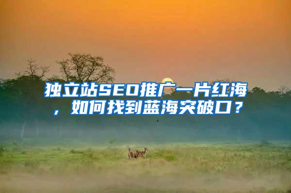独立站SEO推广一片红海，如何找到蓝海突破口？