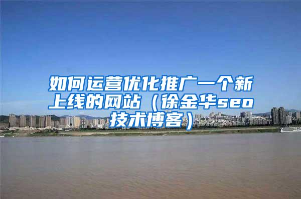 如何运营优化推广一个新上线的网站（徐金华seo技术博客）