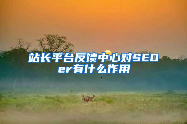 站长平台反馈中心对SEOer有什么作用