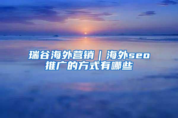 瑞谷海外营销｜海外seo推广的方式有哪些