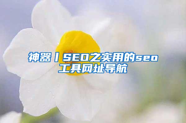 神器丨SEO之实用的seo工具网址导航