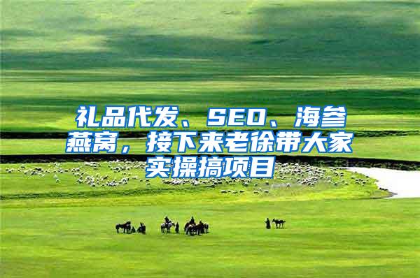 礼品代发、SEO、海参燕窝，接下来老徐带大家实操搞项目