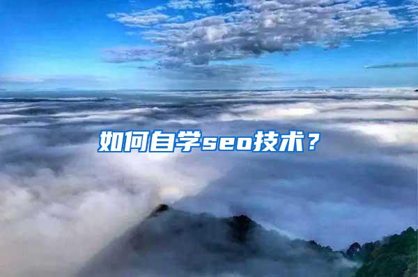 如何自学seo技术？