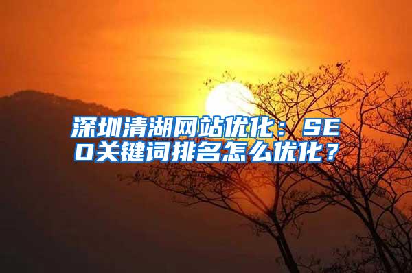 深圳清湖网站优化：SEO关键词排名怎么优化？