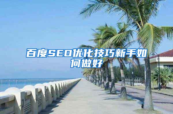 百度SEO优化技巧新手如何做好